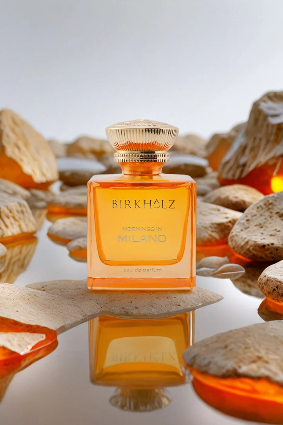 Amber stones