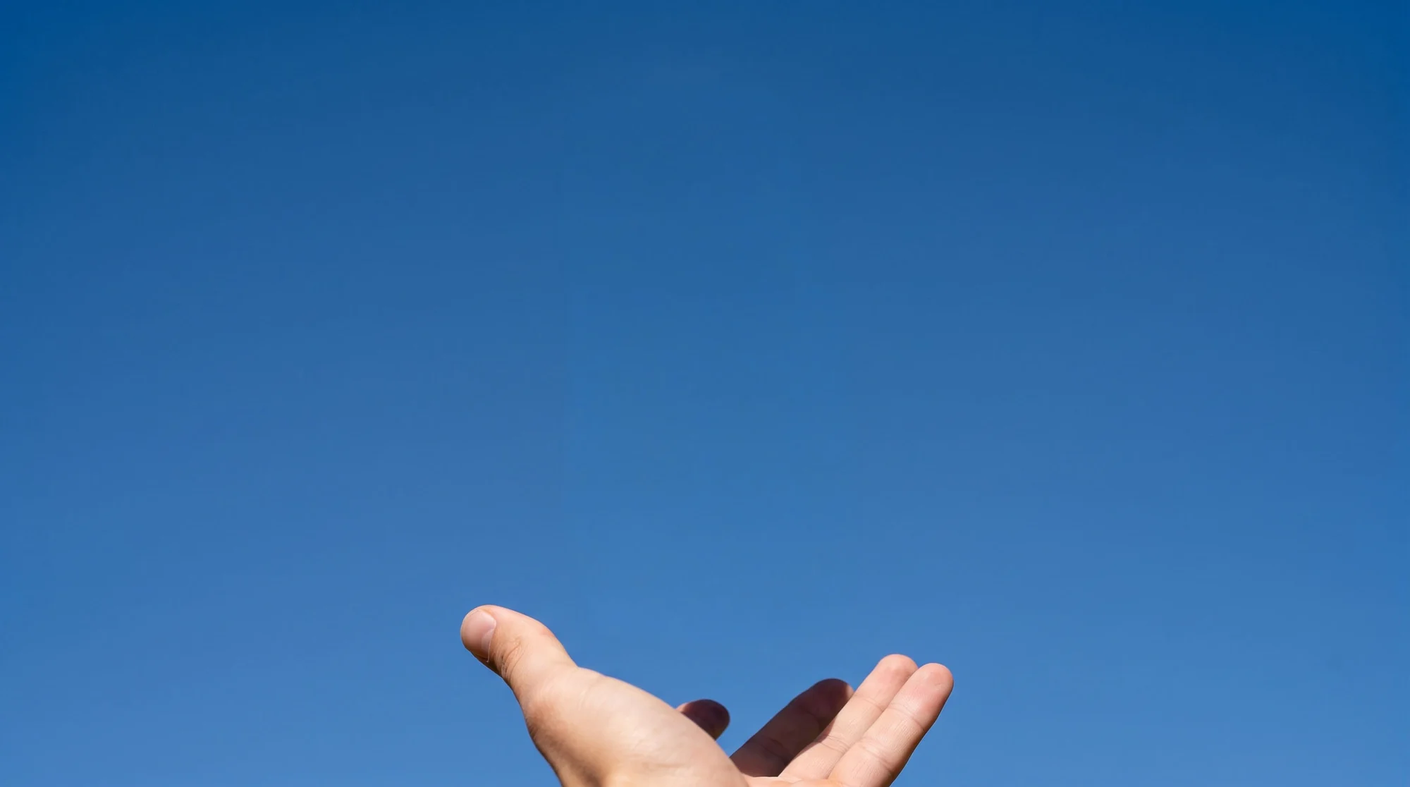 Kampagne: Eine Hand wirft die Dose in den Sommerhimmel